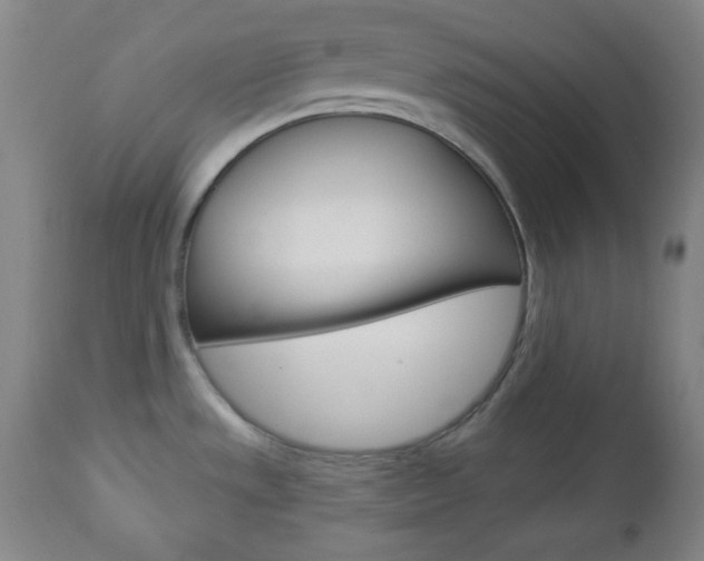 X0000112961533200908270907