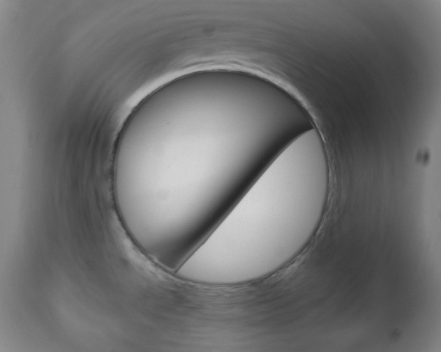 X0000112961534200908270907