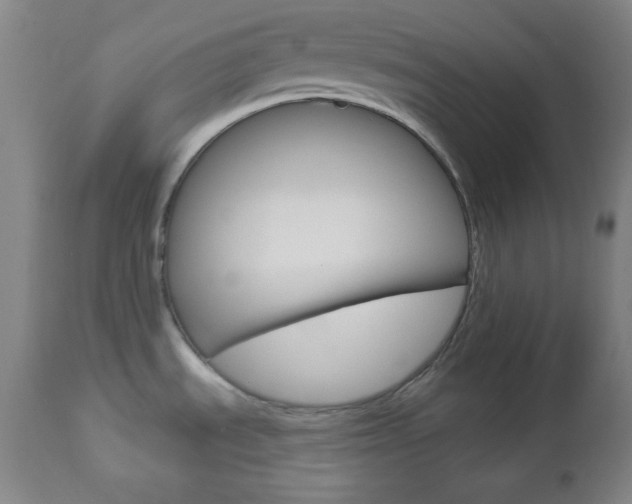 X0000112961535200908270907