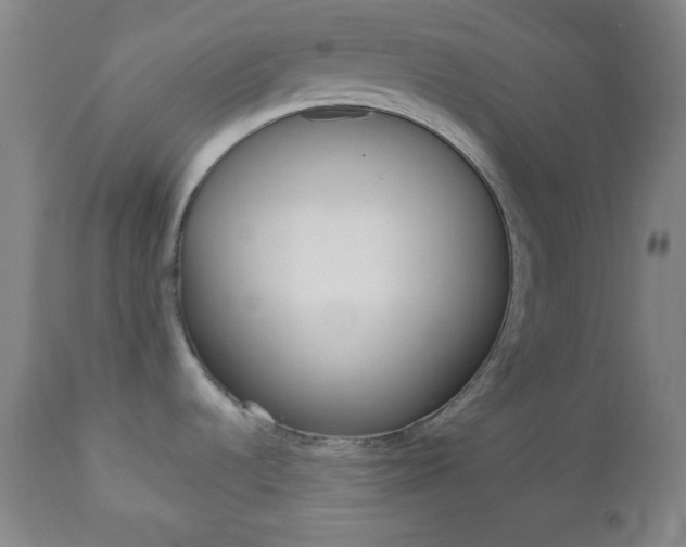 X0000112961536200908270907