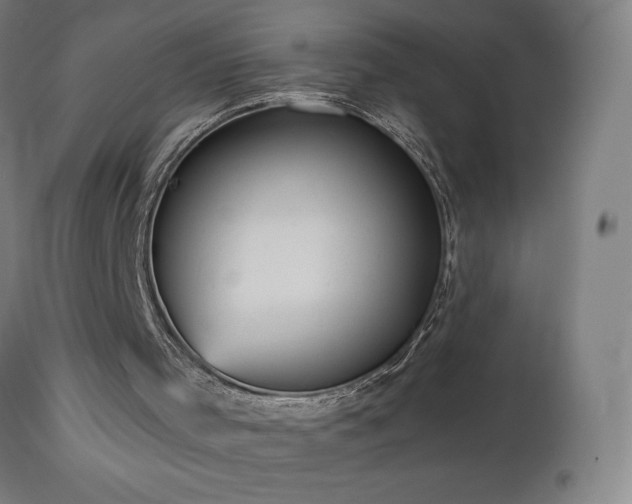 X0000112960001200908271128