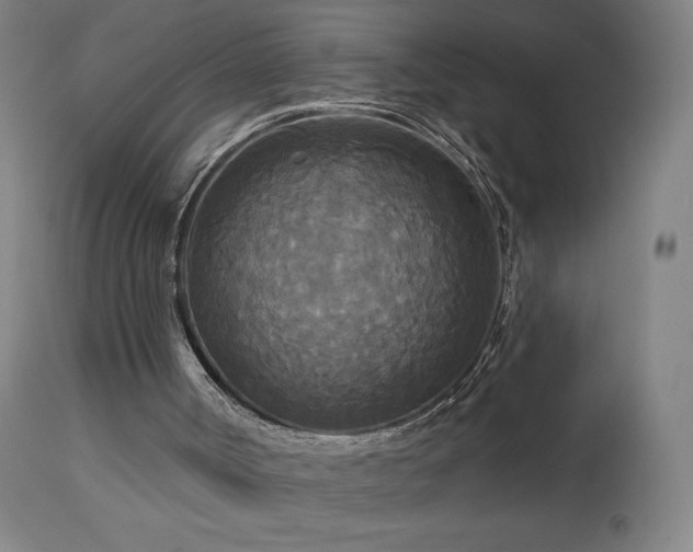 X0000112960002200908271128