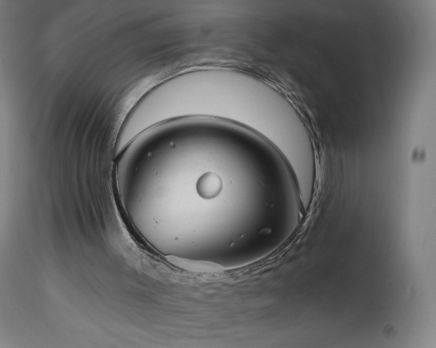 X0000112960003200908271128