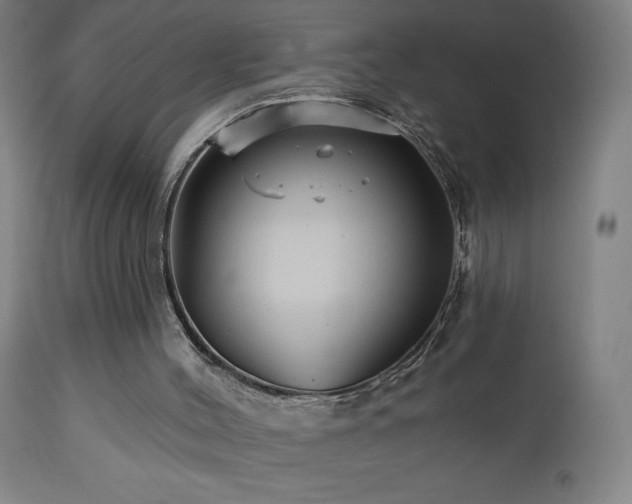 X0000112960004200908271128