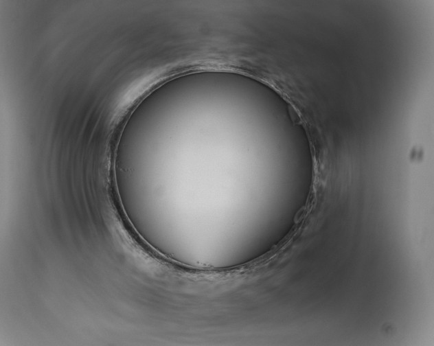 X0000112960005200908271128