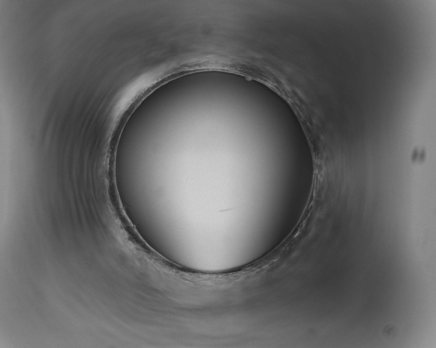 X0000112960006200908271128