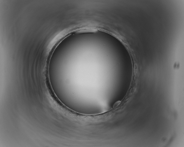 X0000112960007200908271128