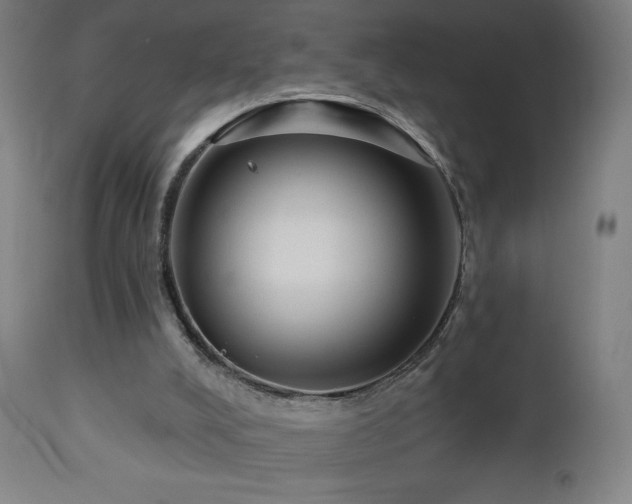 X0000112960008200908271128