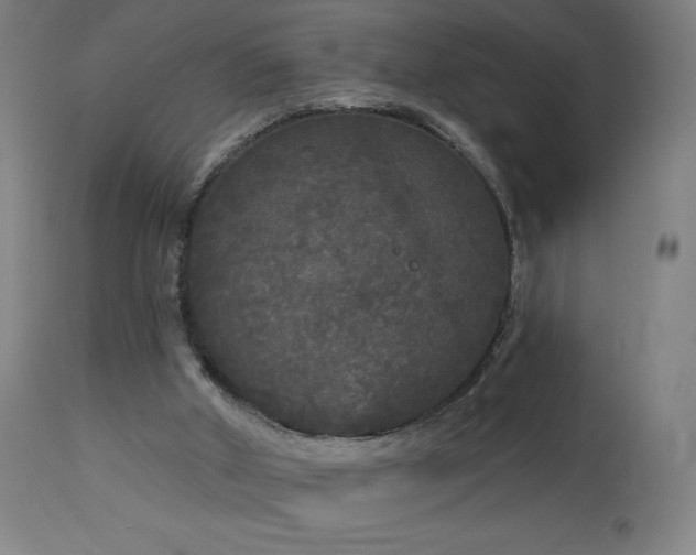 X0000112960010200908271128