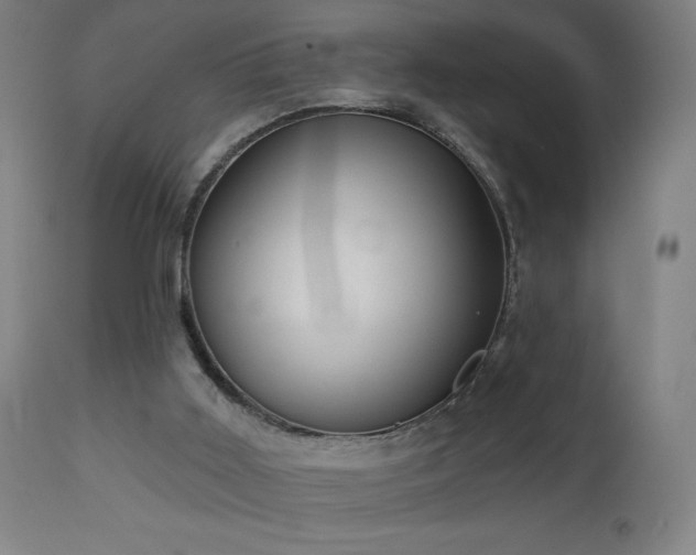 X0000112960011200908271128