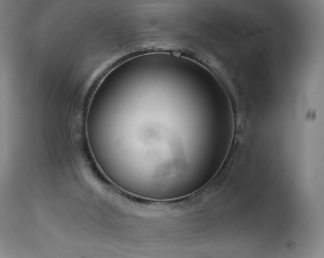 X0000112960012200908271128