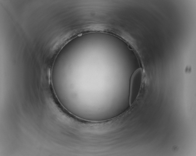 X0000112960013200908271128