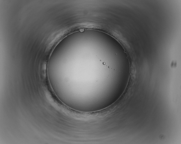 X0000112960014200908271128