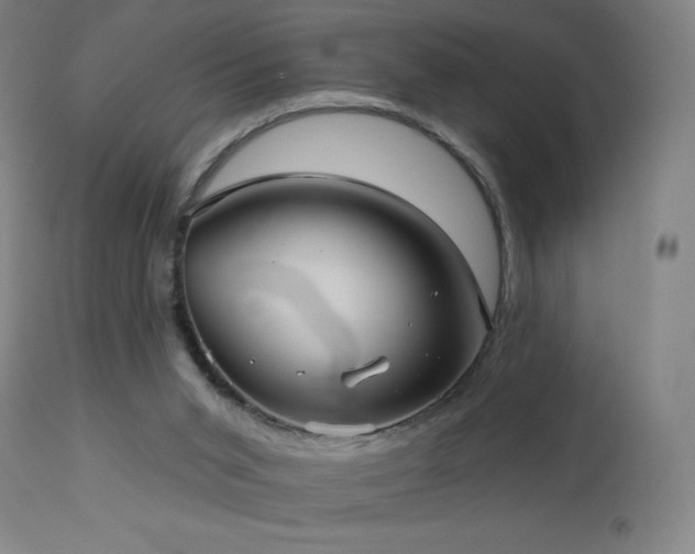 X0000112960015200908271128