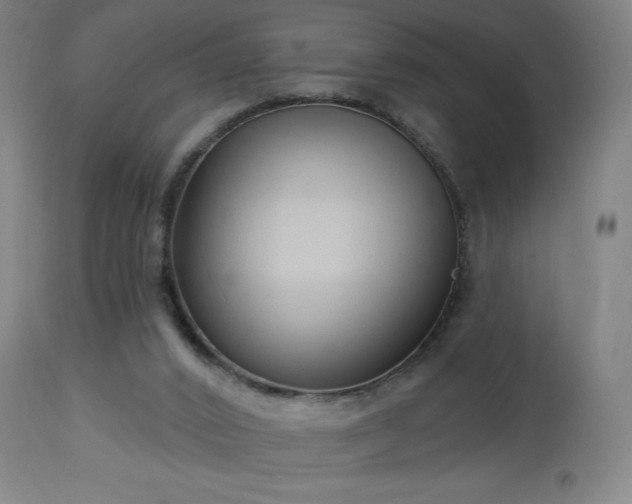 X0000112960016200908271128