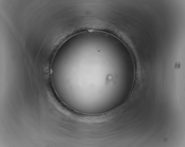 X0000112960017200908271128