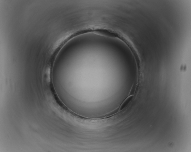 X0000112960019200908271128