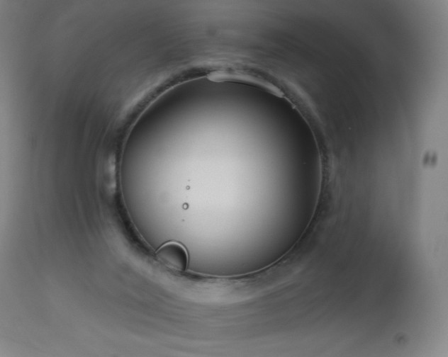 X0000112960020200908271128