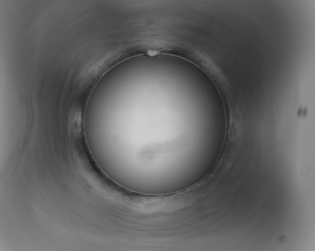 X0000112960021200908271128