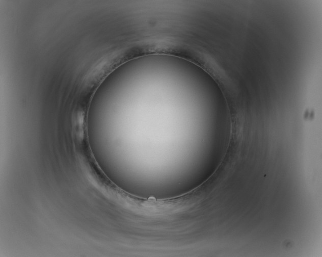 X0000112960022200908271128