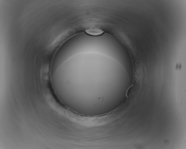 X0000112960023200908271128