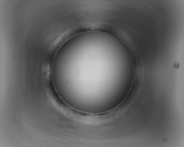 X0000112960024200908271128