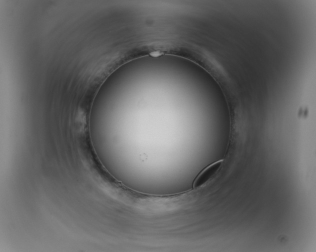 X0000112960025200908271128