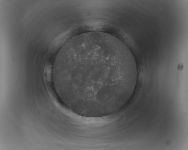 X0000112960026200908271128