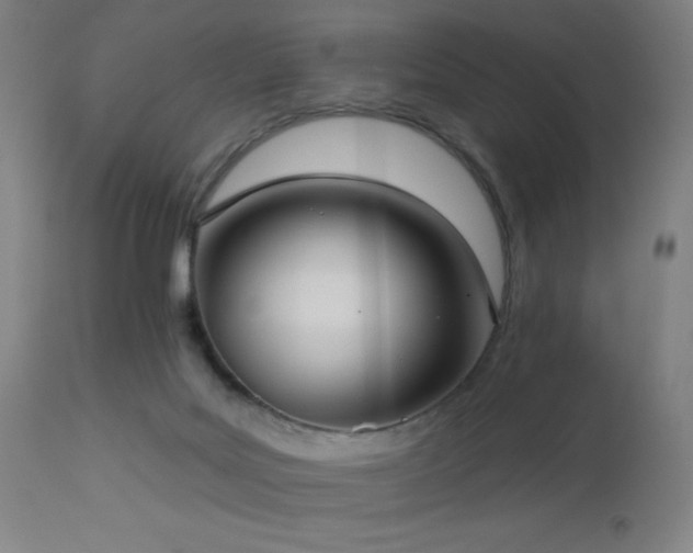 X0000112960027200908271128