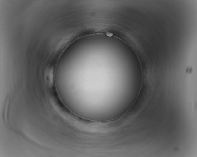 X0000112960028200908271128