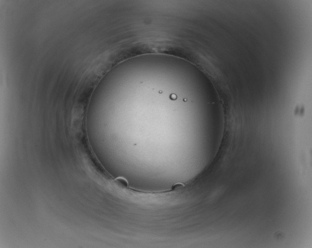 X0000112960030200908271128