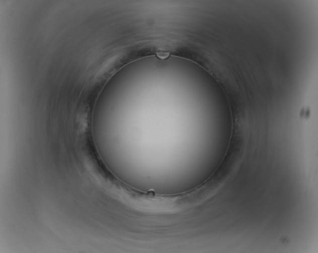 X0000112960032200908271128