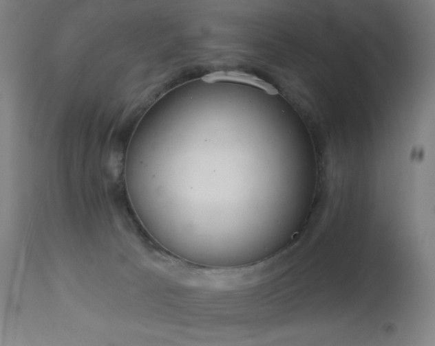 X0000112960033200908271128