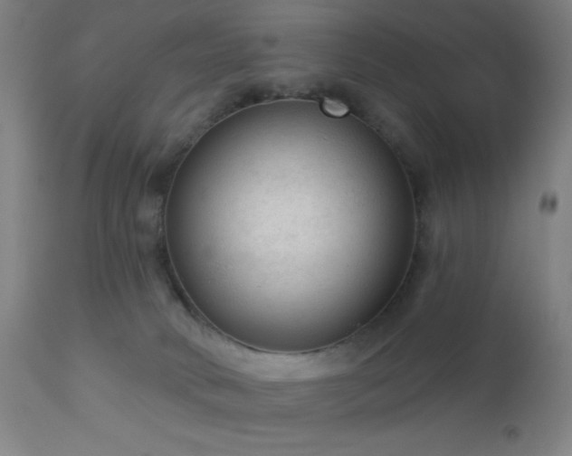 X0000112960034200908271128