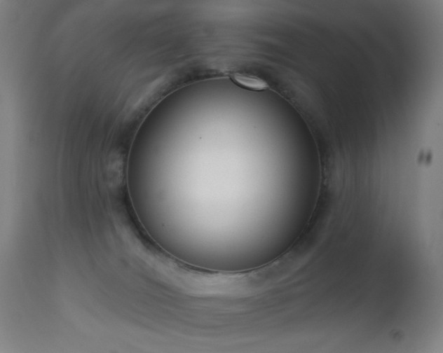 X0000112960036200908271128