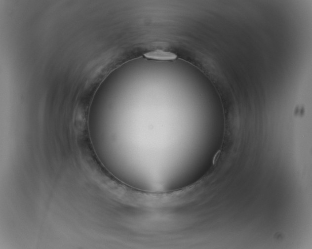 X0000112960037200908271128