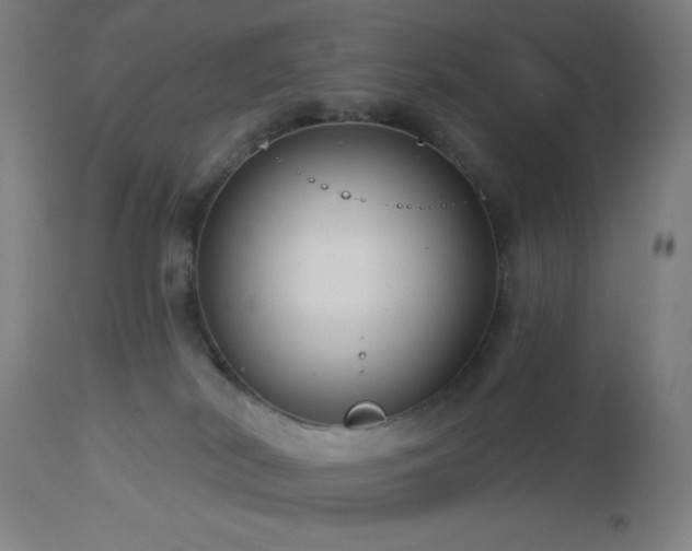 X0000112960038200908271128