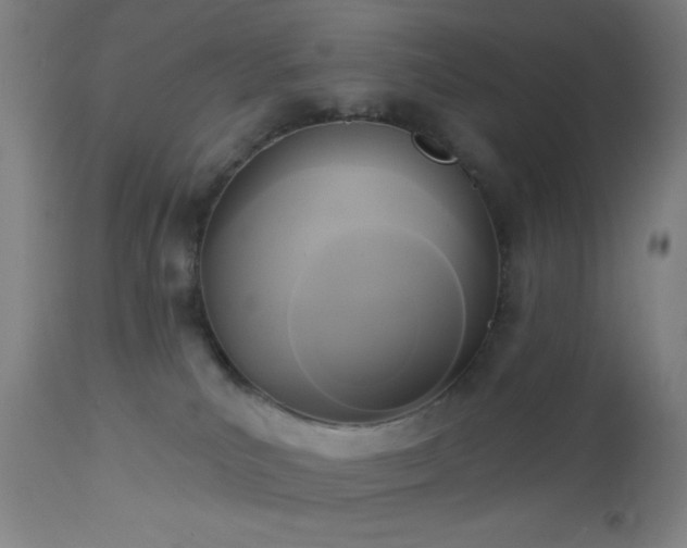 X0000112960039200908271128