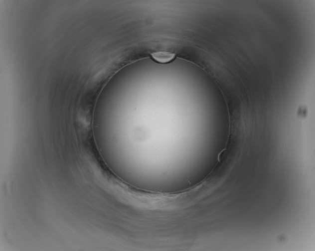 X0000112960040200908271128