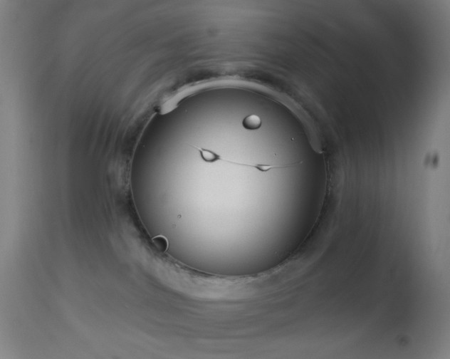 X0000112960044200908271127