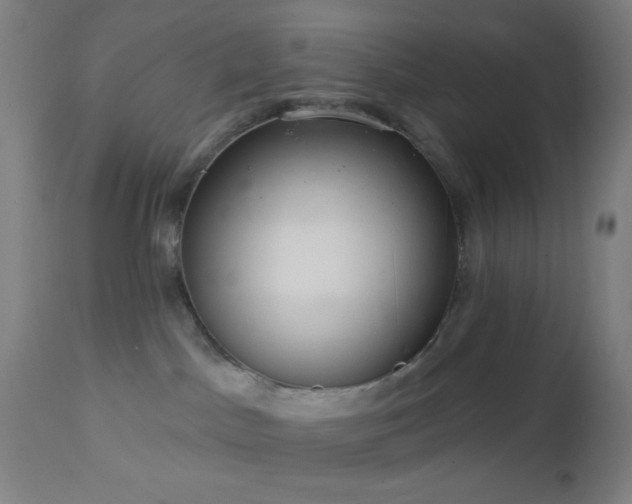 X0000112960045200908271127