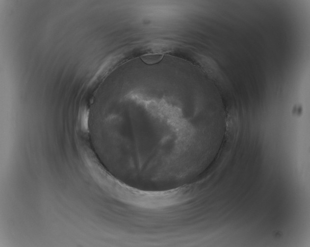 X0000112960046200908271127