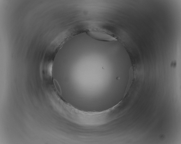 X0000112960047200908271127