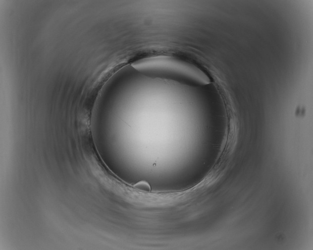 X0000112960048200908271127