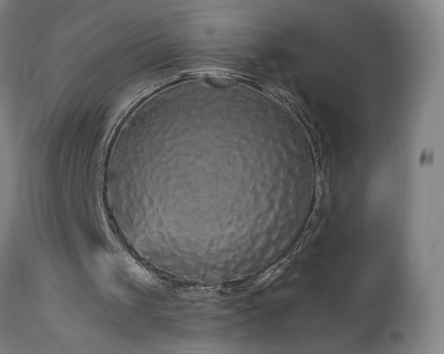 X0000112960049200908271127