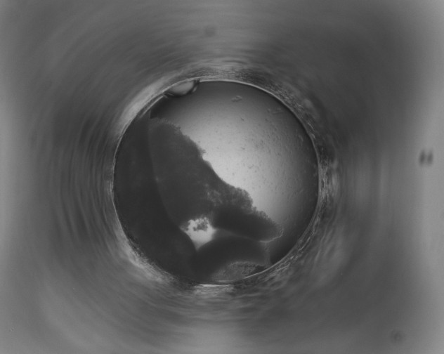 X0000112960051200908271127