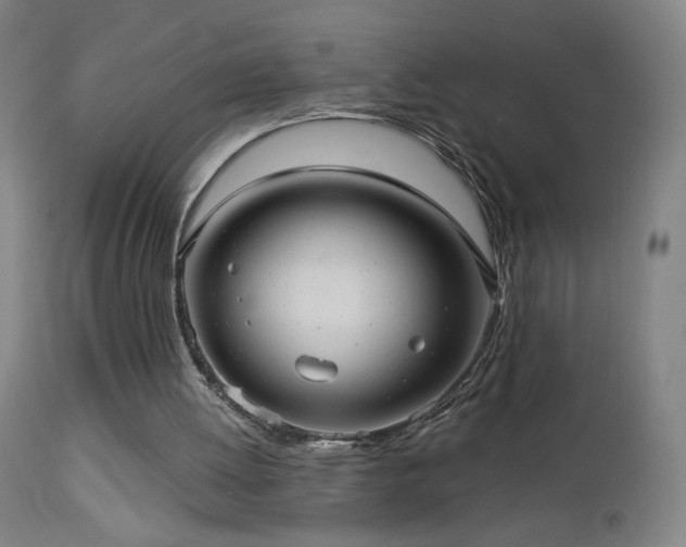 X0000112960052200908271127