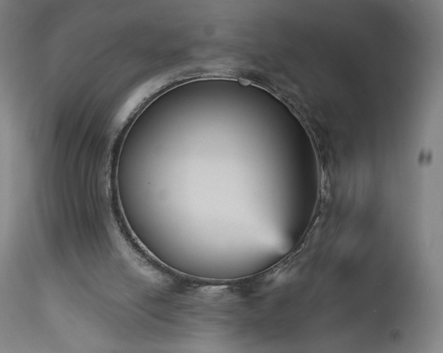 X0000112960054200908271127