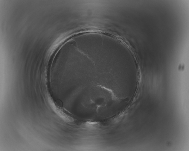 X0000112960055200908271127