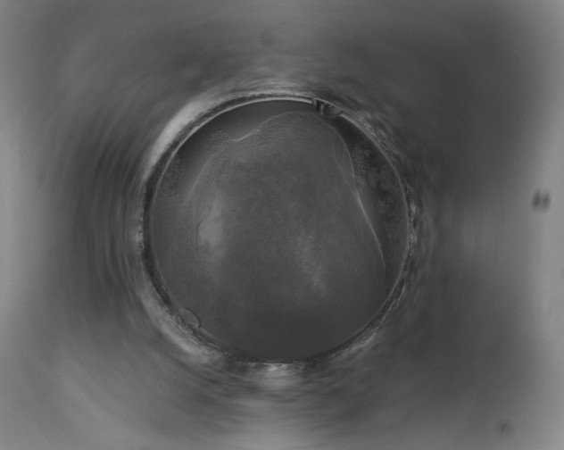 X0000112960056200908271127